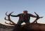 elk